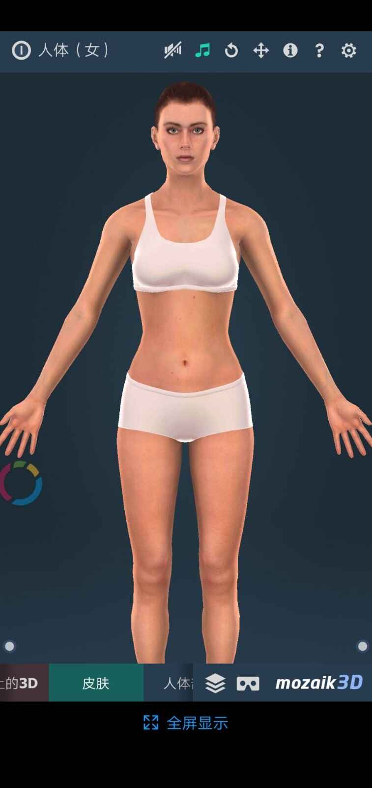 ���๹��3DHuman body��ͼ2