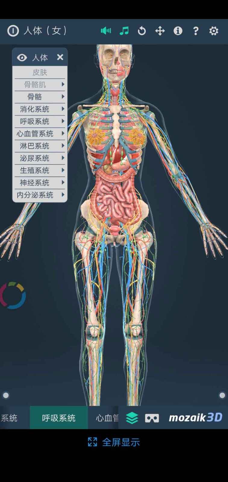 ���๹��3DHuman body��ͼ4