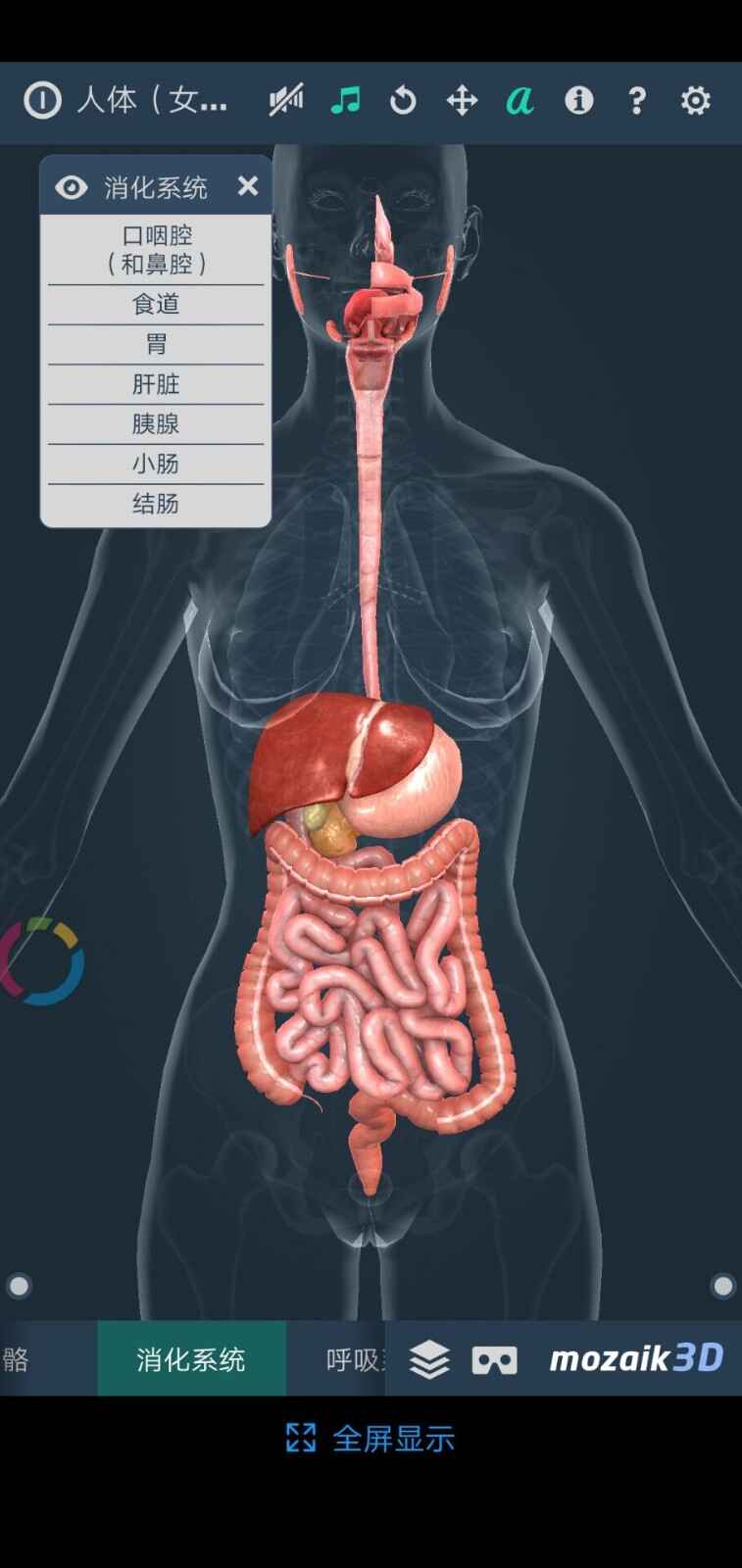 ���๹��3DHuman body��ͼ3